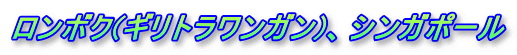 ロンボク(ギリトラワンガン)、シンガポール